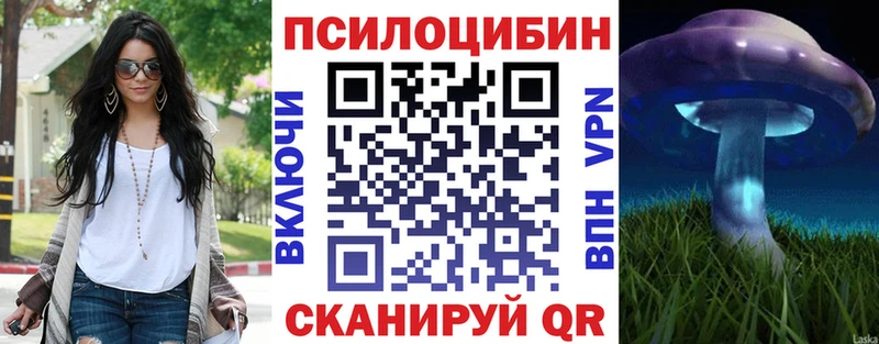 Псилоцибиновые грибы Psilocybe  где найти наркотики  Карасук 